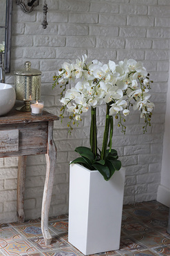 Grande Fiberglass Novelty 2, storczyk w białej donicy z fiberglass (połysk), wys.110cm 