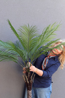 Palma Kanaryjska, sztuczna roślina w doniczce