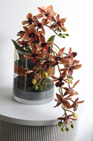 Granada Thai Glassier, miedziany storczyk w szkle