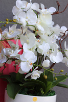 Japandi Orchid 4, sztuczny storczyk w ceramicznym pucharze