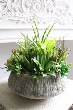 Sukulenty Hefuba, kompozycja w okrągłej donicy, wys.25cm