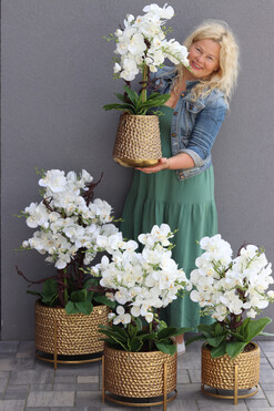 Goldenario Medium, biały storczyk w złotej donicy, wys.76cm