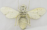 Pszczoła, figurka złota, wym. 22x14x7cm