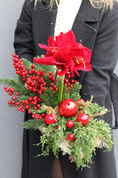 Amarylis Winter Gold B, świąteczna kompozycja z czerwonymi kwiatami, wys.46cm