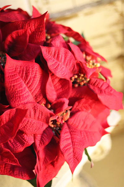 Gwiazda Betlejemska Golderino, wysokiej jakości sztuczna roślina, wym.54x40cm