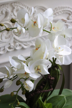 Banerra Leas, sztuczny storczyk w prostokątnej donicy, wys.58cm