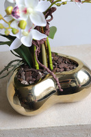 Orchid Heart, gumowy storczyk w złotej misie