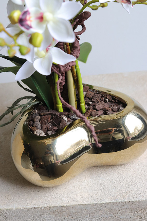 Orchid Heart, gumowy storczyk w złotej misie