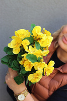 Bratki, kiść kwiatów, żółte