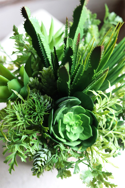 Medula, kompozycja z sukulentów w złotej doniczce