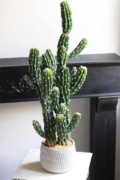 Kaktus Mexico New, sztuczna roślina
