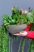 Laos Greeno 2, bogata kompozycja Sukulenty w lustrzanej donicy