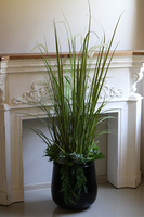 Green Terrance Fiberglass, sztuczna trawa w czarnej donicy