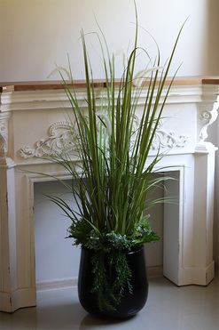 Green Terrance Fiberglass, sztuczna trawa w czarnej donicy, wys.140cm