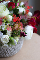 Yrenna, kompozycja kwiatowa w misie