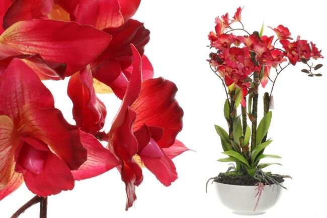 Malinovy, sztuczny storczyk w doniczce, wys.61cm