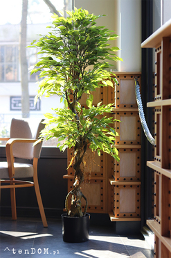 Fikus Benjamin D, sztuczna roślina w doniczce, wys.150cm