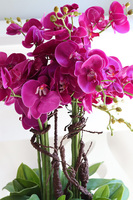 Fuksja House Malaga, sztuczny storczyk w białej donicy,