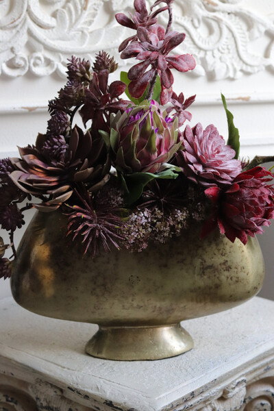 Olivina Kristi 3, kompozycja sukulenty w złotym pucharze