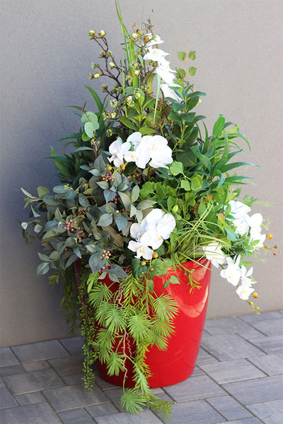 Orchideno Modern Classico, kompozycja ze storczykiem w czerwonej donicy