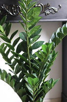 Zamiokulkas Gold Hilton, sztuczna roślina w doniczce