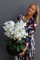 Nullina Black, sztuczny storczyk w czarnej misie