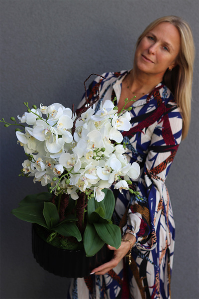 Nullina Black, sztuczny storczyk w czarnej misie