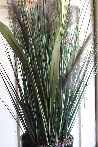 Grey, kompozycja czarne trawy w donicy, wys.128cm