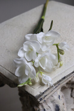 Frezje, gumowe sztuczne kwiaty, gałązka biała, dł.55cm