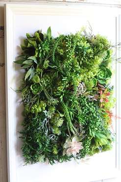 atrakcyjna jednostronna rama, Hotels Sukulenty New, wym.77x57cm