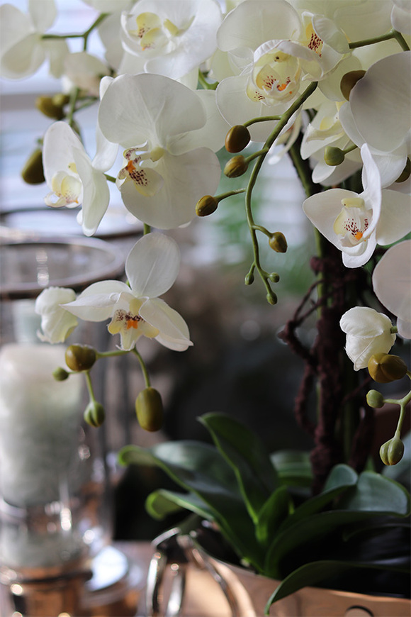 Eveline Elegance, sztuczny storczyk w pucharze