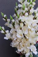 Mieczyki Ecru, bukiet nagrobny do położenia