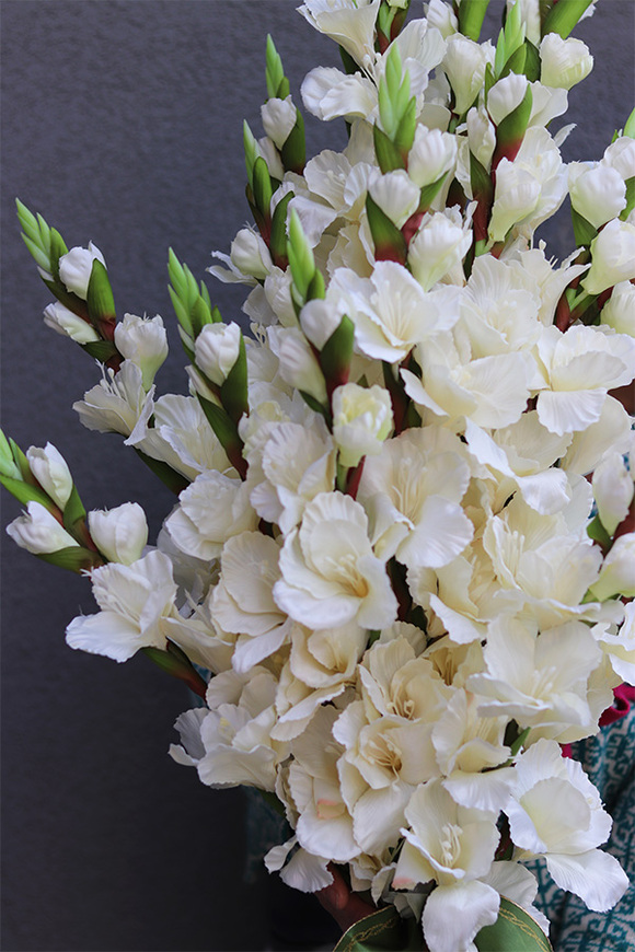 Mieczyki Ecru, bukiet nagrobny do położenia