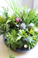 Green Terrance Piano, kompozycja sukulenty w okrągłej donicy