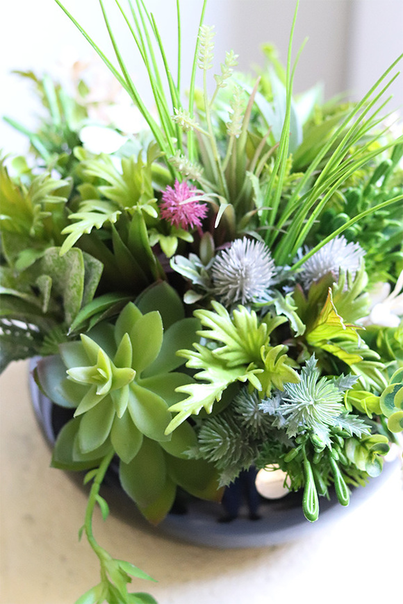 Green Terrance Piano, kompozycja sukulenty w okrągłej donicy