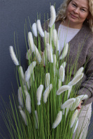 Trawa Pustynna, sztuczna trawa z kłosami, biała