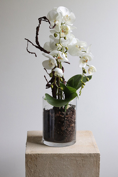 Glassier Como 2, sztuczny storczyk w szklanej tubie