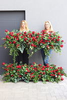 Opera Warszawska, okazała kompozycja kwiatowa