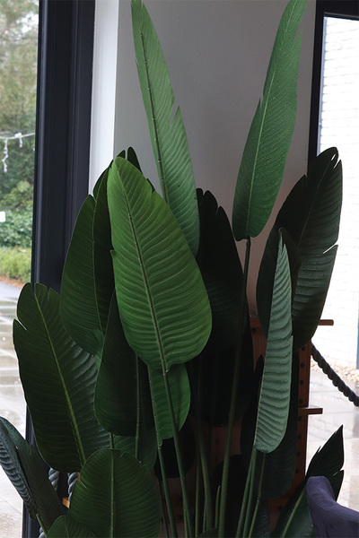 Bananowiec, sztuczne drzewko w osłonce donicy