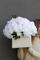 Peonie Ratina, flowerbox kwadratowy