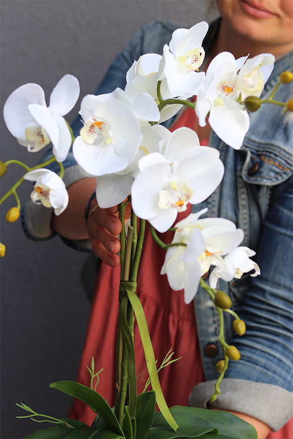 Grefina, sztuczny storczyk w kremowej donicy, wys.50cm