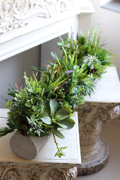 kompozycja sukulenty w długiej donicy, Hektor Modenato