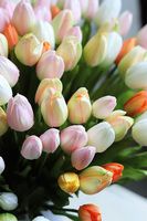 bukiet tulipanów, Wiosna w Pełni 2, wys.58cm