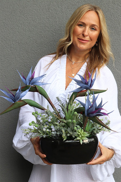 Strelicja Moonlight, egzotyczna kompozycja w donicy, wys.45cm