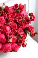 czerwony flowerbox z różami na walentynki, Serce Welurowe