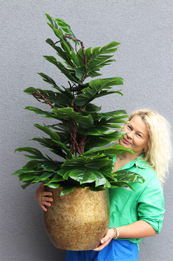Monstera Gold Hillton 2, drzewko sztuczne w donicy, wys.110cm