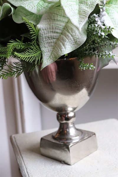 Gwiazda Betlejemska Pucharro, kompozycja świąteczna