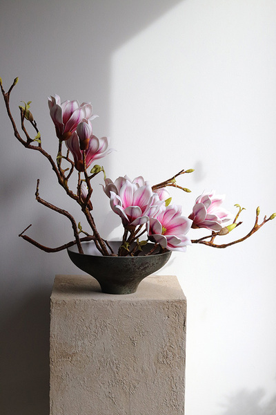 Magnolie Modern, kompozycja wiosenna w naczyniu