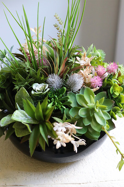 Green Terrance  Piano, kompozycja sukulenty w okrągłej donicy, wym.33x30cm 