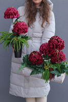 Chryzantema Modern, nagrobny bukiet z bordową chryzantemą